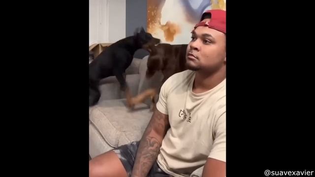 The Best Of The Internet (2022)