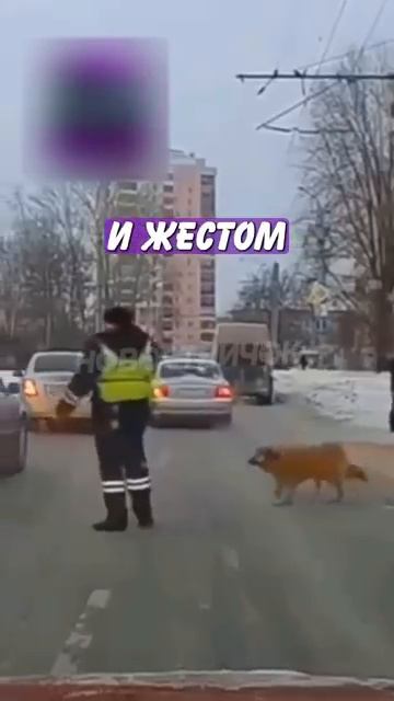 Новостничок (180)