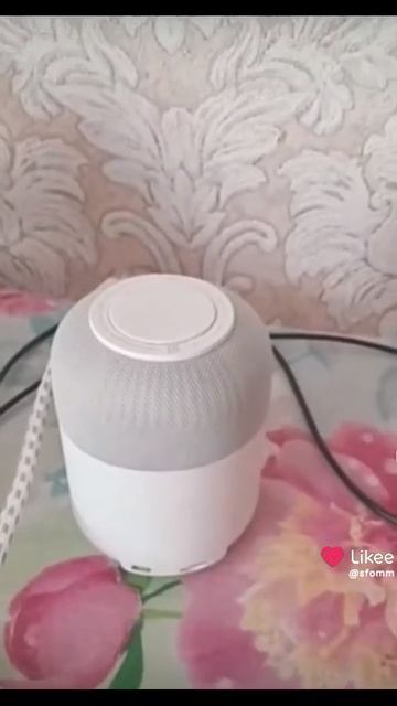Алиса спой песню