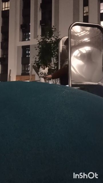 пердëж Венды
