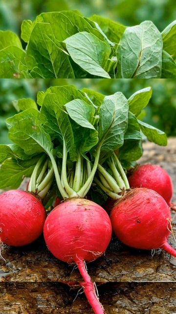 Угадайте советскую кинокомедию по картинкам