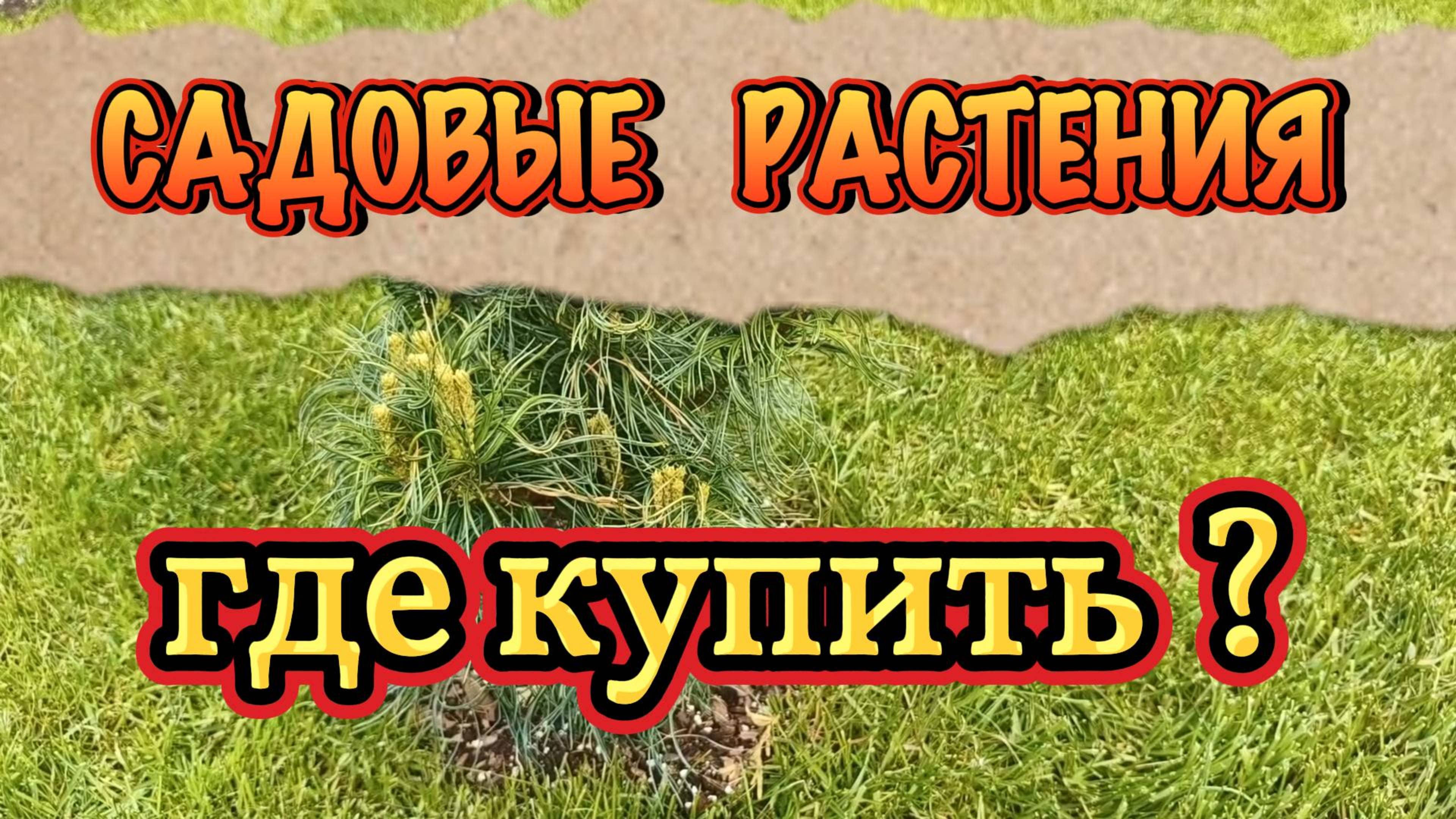 Где купить садовые растения