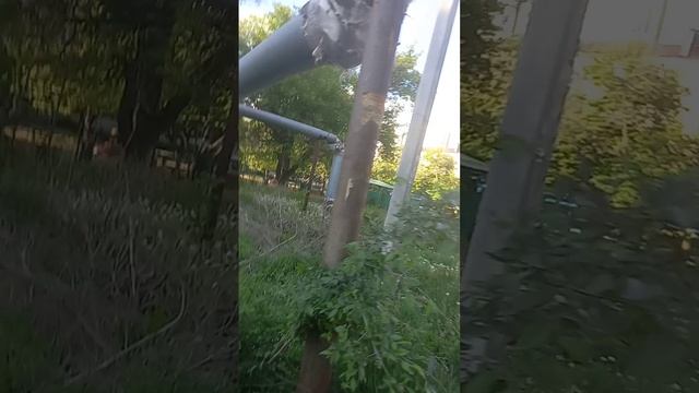 письма счастья ,пошла за орехами!!!🤣🤣🤣🤣🤣🤣🤣!