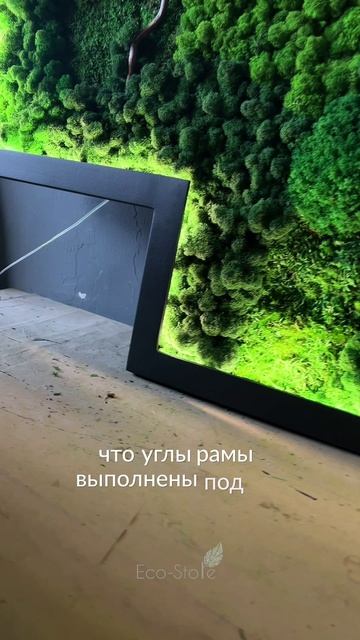 Рама для картины из стабилизированного мха
