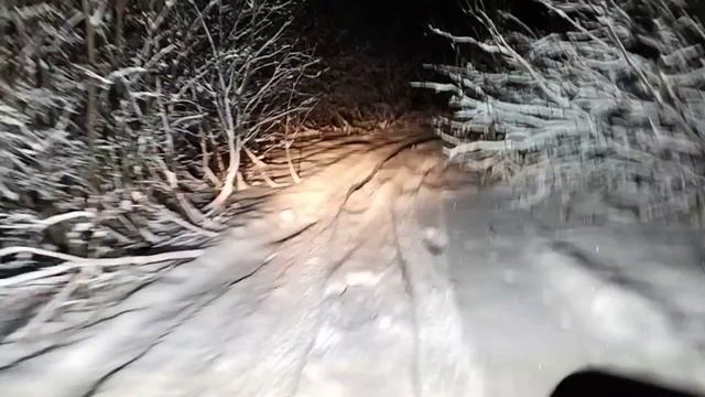 Жуть жутиковая
