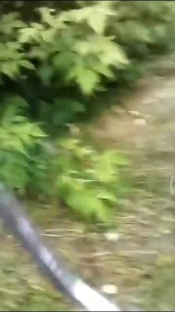 Прикол от ДИНАРА
