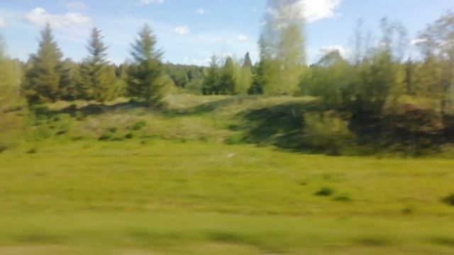 Солнечный майский денёк ☀️🌞🏞️