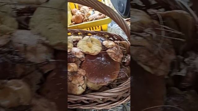 ох не легкаяэта работа