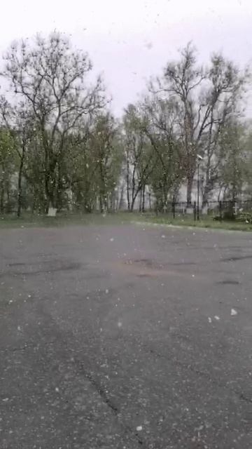 VID_20250429_122805_818.mp4
