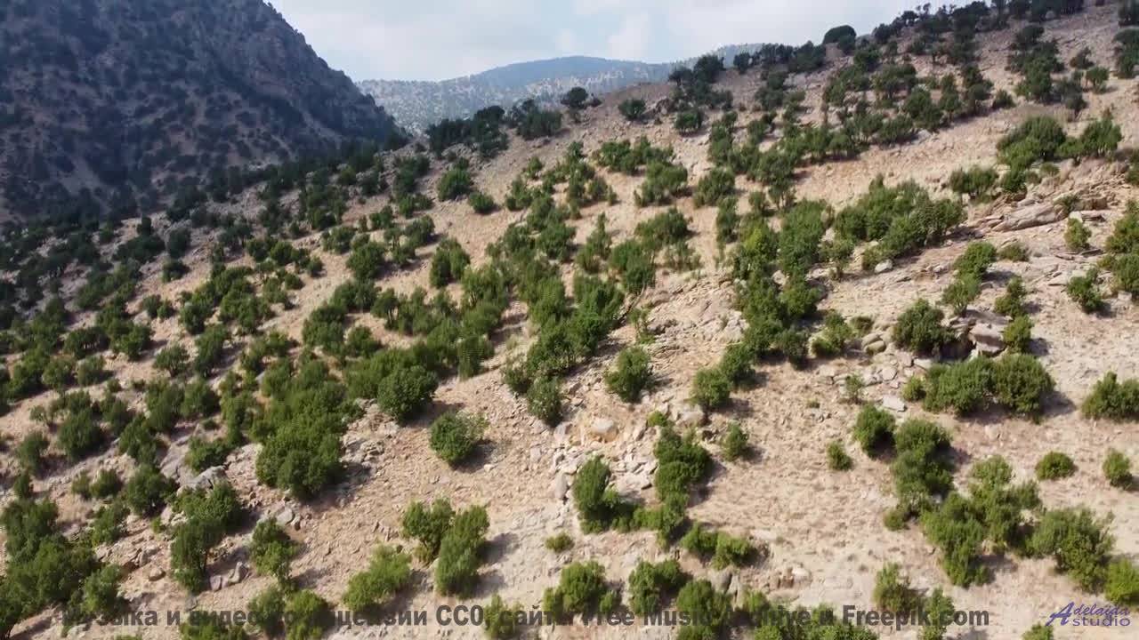 Самые завораживающие виды под хит года - Vuelve a la Luz -- Silva de Alegria -- Primavera en la Guer