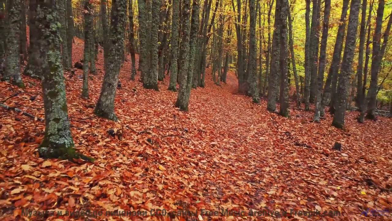Пейзажи мира, под которыми звучит шедевр - Santau (Black Djinn) -- Julia Felix -- Unnamed album