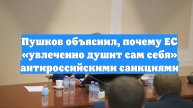 Пушков объяснил, почему ЕС «увлеченно душит сам себя» антироссийскими санкциями