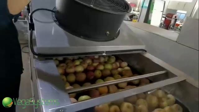 Машина для сушки зелени, овощей, фруктов, ягод Vega Drying Conveyor Pro 3000/4000