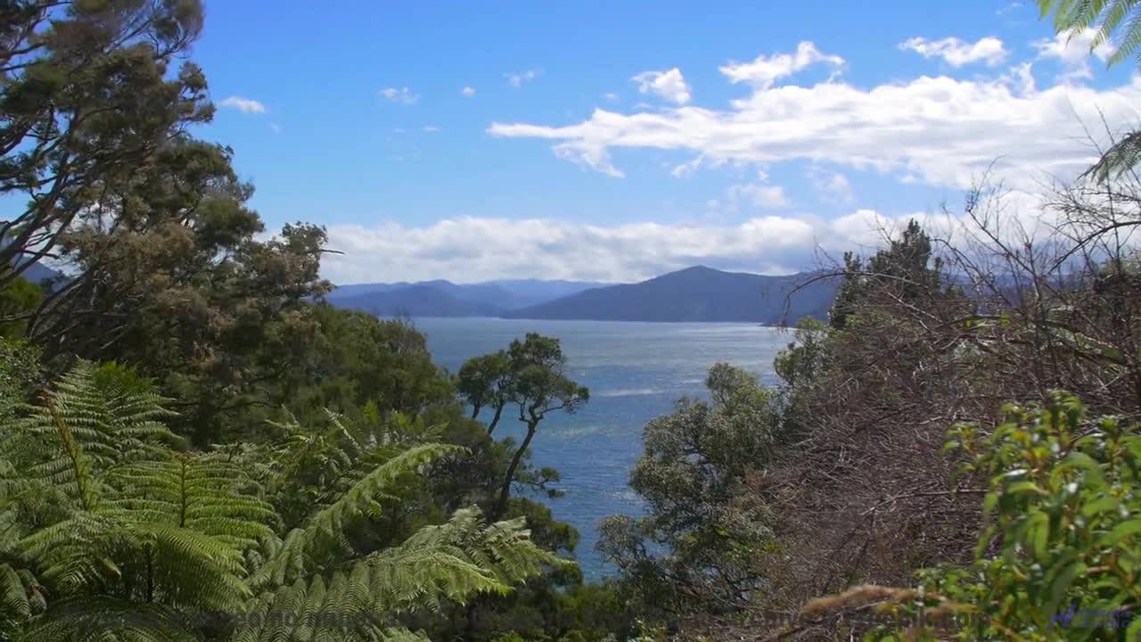 Пейзажи проникают в кровь вместе с этим саундом - Tomorrow -- Rotor Perdition -- Rotor Perdition Exi