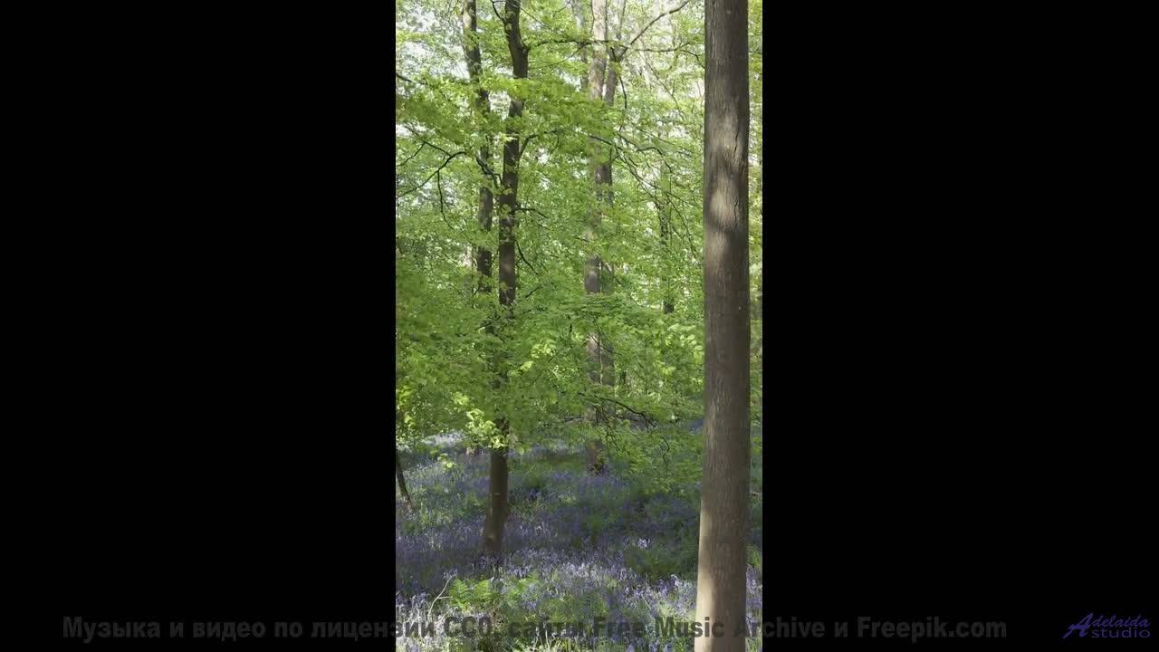 Эти пейзажи и музыка выносят мозг моментально - Cemetery Friends -- LOPKERJO -- FATE