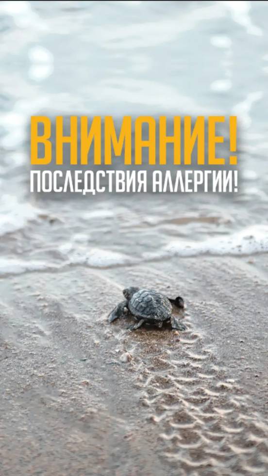Внимание! Последствия аллергии!