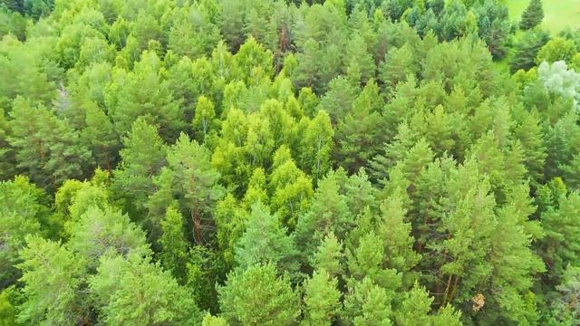 DJI MINI 4 PRO  RELAX  "РАЗДОЛЬЕ"