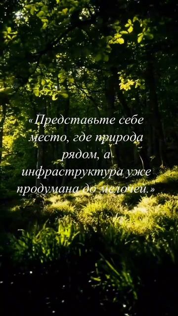 «Новое Бородино»