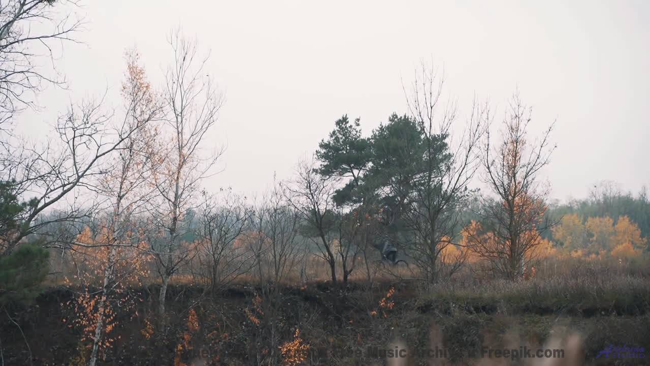 Музыка-откровение под завораживающие пейзажи планеты - Ugly Truth -- HoliznaCC0 -- Left Overs