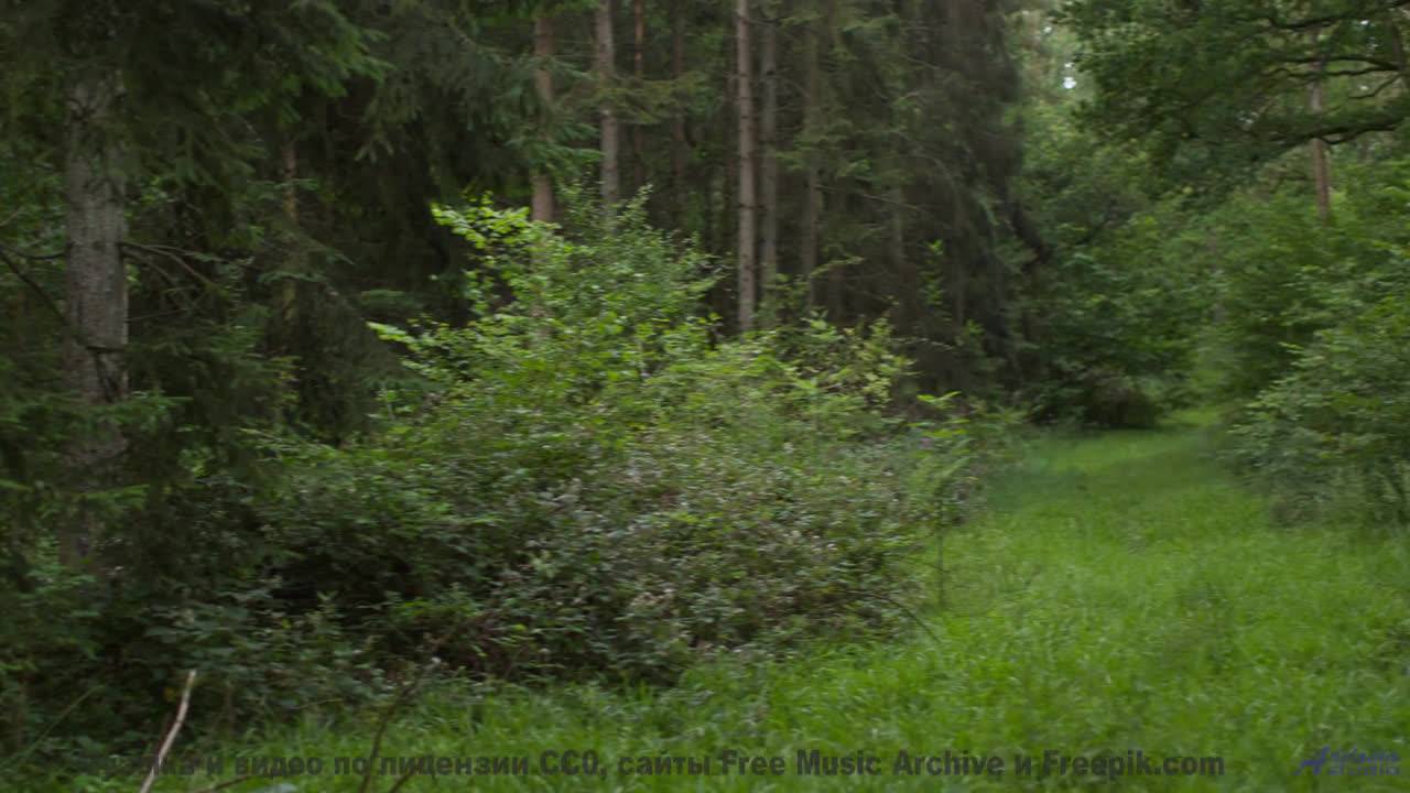 Каждый кадр под эту мелодию - праздник для глаз - Howl, Party Man Isaiah! -- A Tape Full of Mistakes