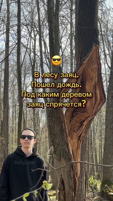 Как думаете? 😎 SaityLow