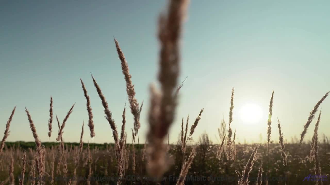 Поля раскрываются вместе с каждым новым ритмом - Loading-time -- Ketsa -- Summer With Sound