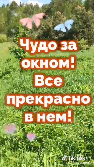 Доброе утро