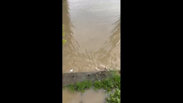 Перекрытие потока воды через шлюзы