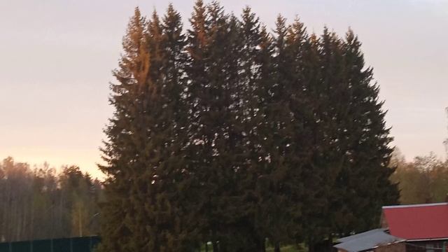 Деревня