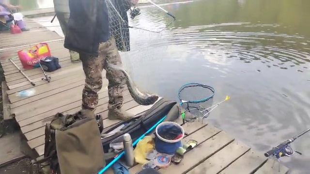 Осетришка Основной водоем