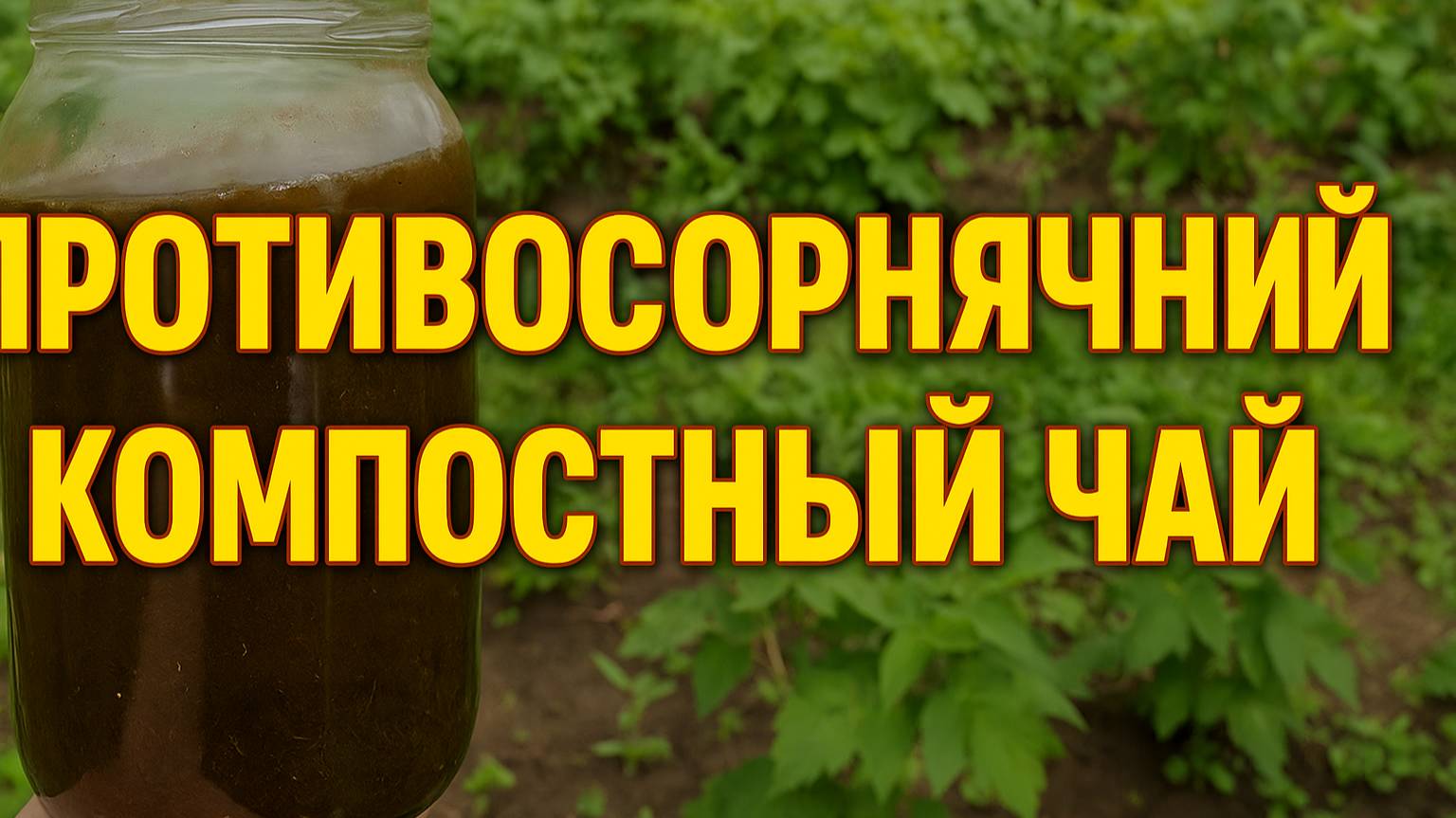 Противосорнячный компостный чай — как я остановил рост сорняков!