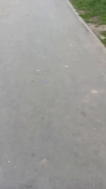 Хабощ Бабощ от друга