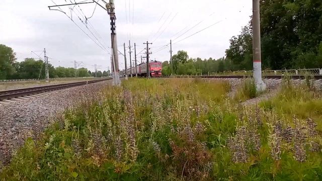 Электропоезд эт2м-130 Сообщением Шапки Санкт-Петербург