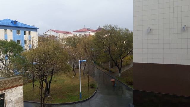 Внутренний двор МГУ им. адм. Г.И. Невельского