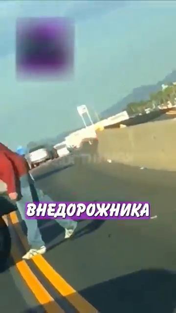 Новостничок (186)
