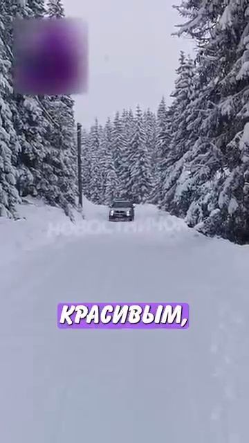 Новостничок (189)