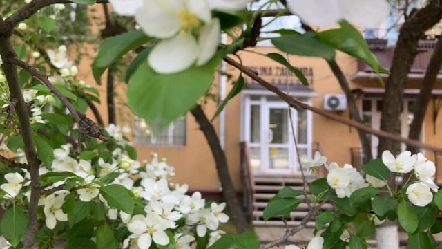 Моя галерея POLINA ZAREMBA ART GALLERY в мае 2025