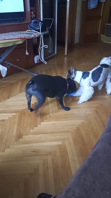 1000000764.mp4