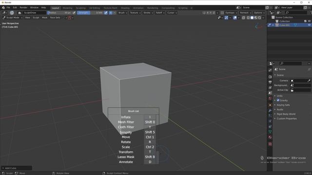 27 Optional Menus
