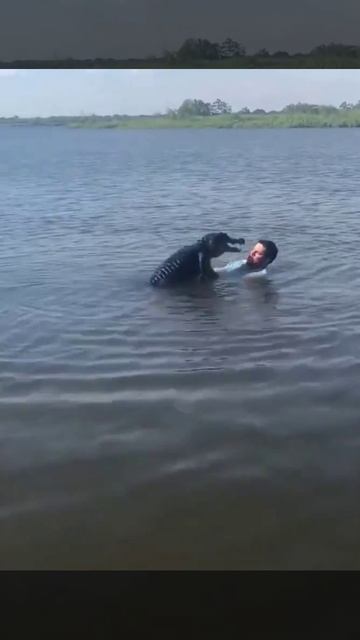 Тем временем во Флориде... Просто встретились два одиночества.