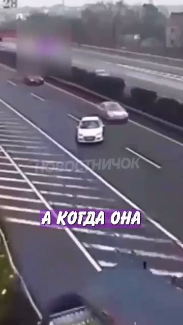 Новостничок (134)