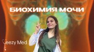 БИОХИМИЯ МОЧИ