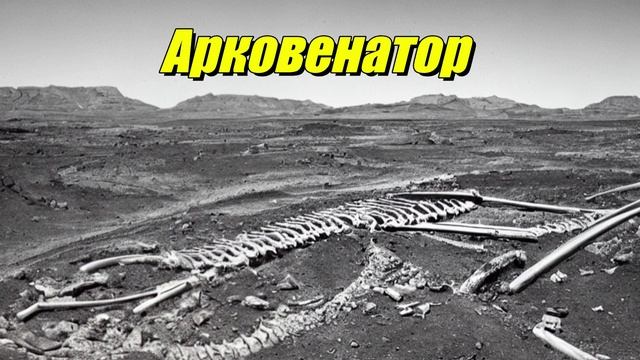 Arcovenator