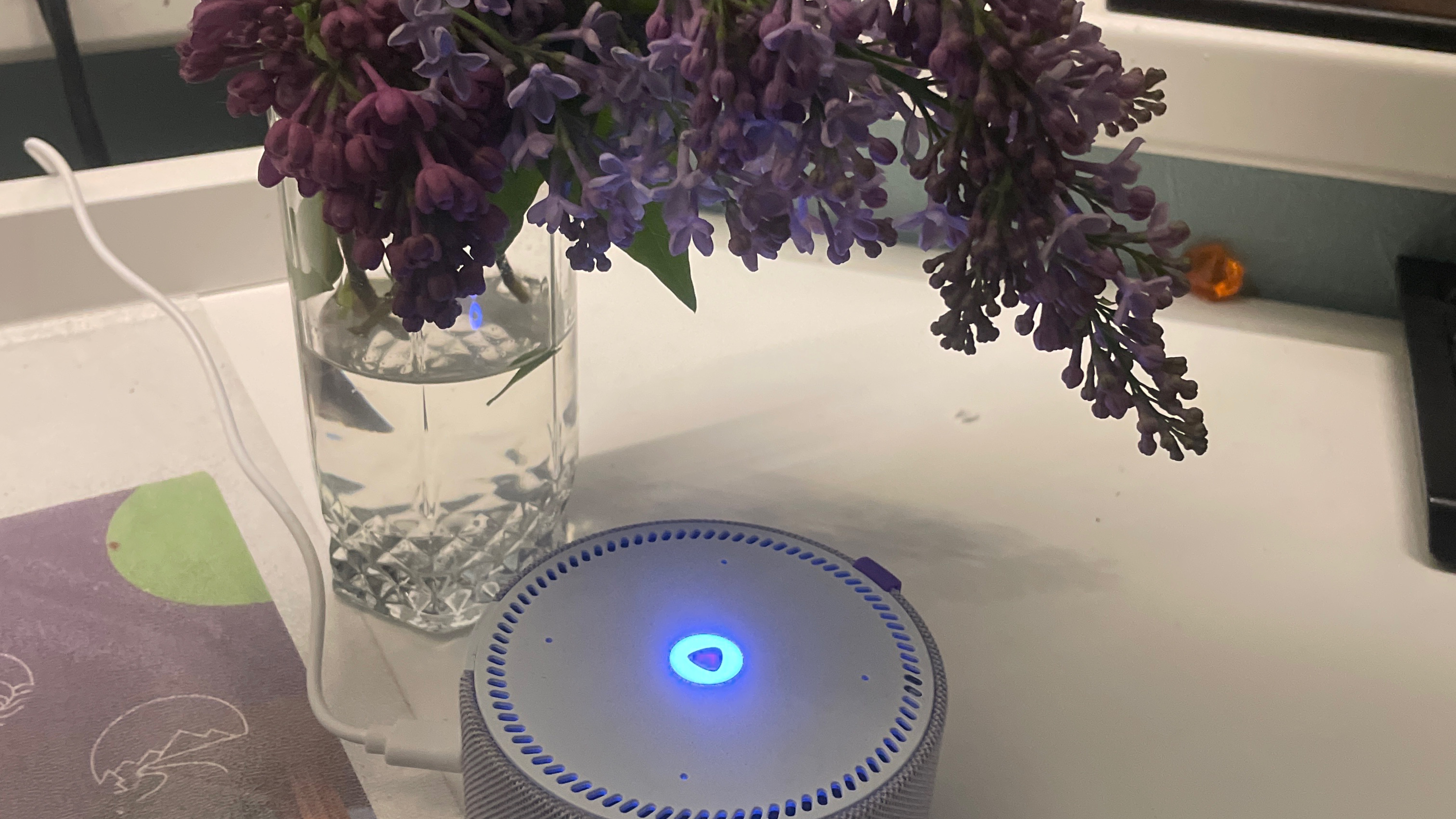 Яндекс Алиса! Что она умеет?