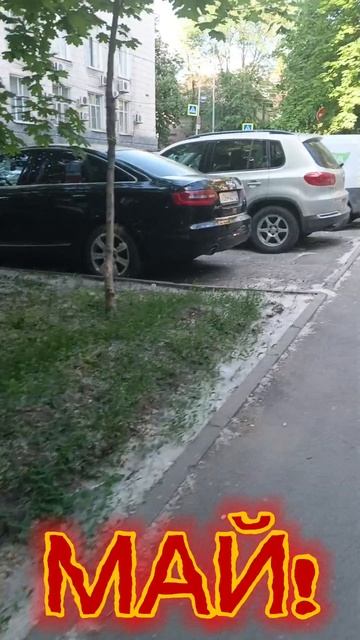 вот такой у нас МАЙ