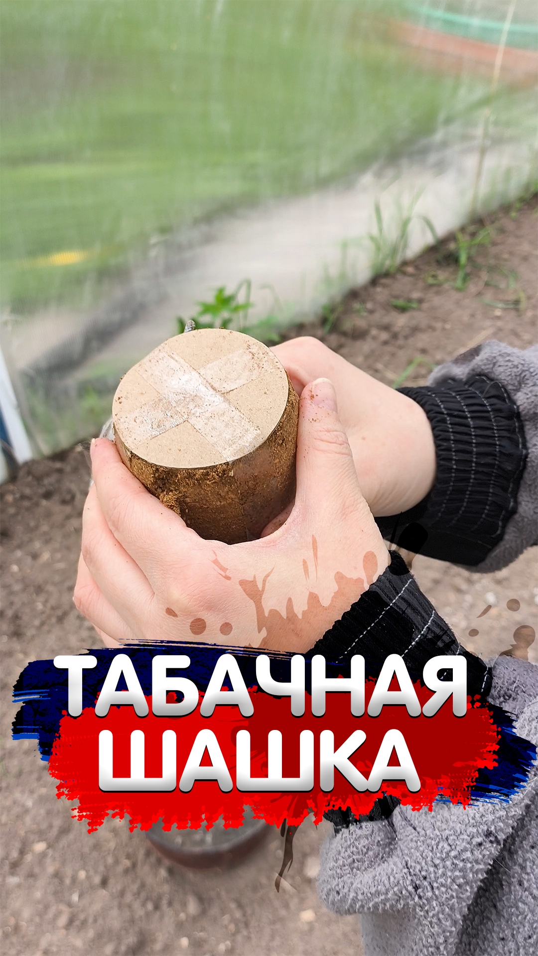 Обработка теплицы табачной шашкой! Больше интересного в нашем сообществе #жизньвдеревне #теплицауход