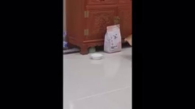 приколы