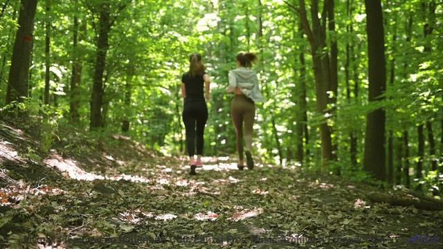 Эта музыка заставит вашу кошку говорить - попробуйте! - Tumbona -- Phillip Gross -- Camper
