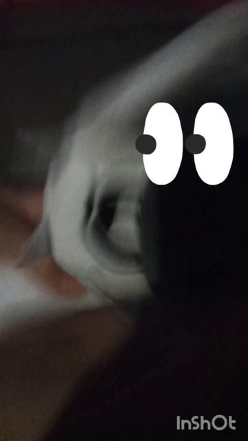 любовь