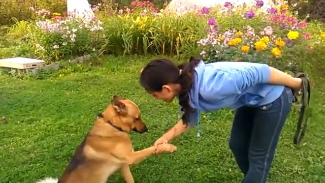 Замечательный умный Майк ищет новый дом!.mp4